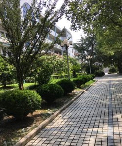 大平中学户外活动场地
